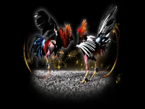 Bí Kíp Chinh Phục Đấu Trường Đá Gà Sabong Tại Vibet88 Cực Dễ Dàng