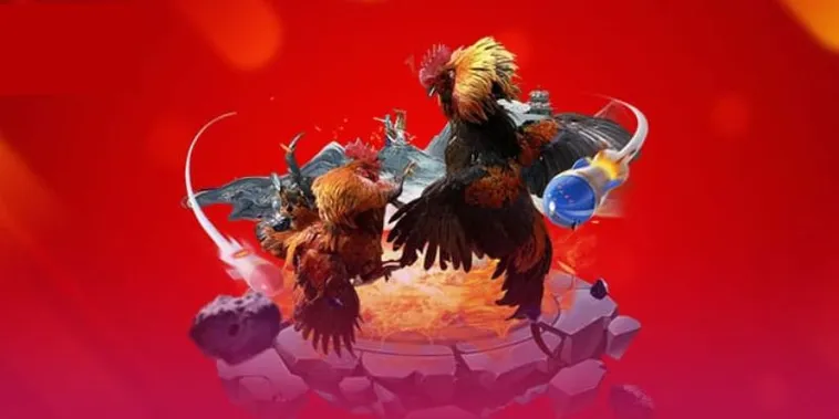 Khám Phá Sân Chơi Đá Gà Vibet88 Đỉnh Cao Cùng Các Chiến Kê Bất Bại